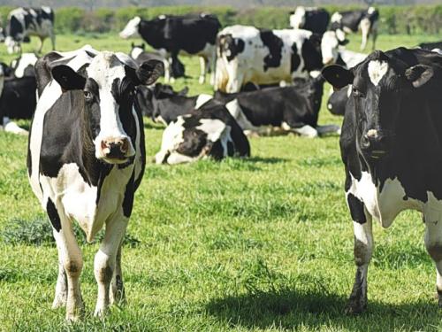 Σοβαρές πολιτικές εξελίξεις και κοινωνικά ζητήματα στην Ελλάδα