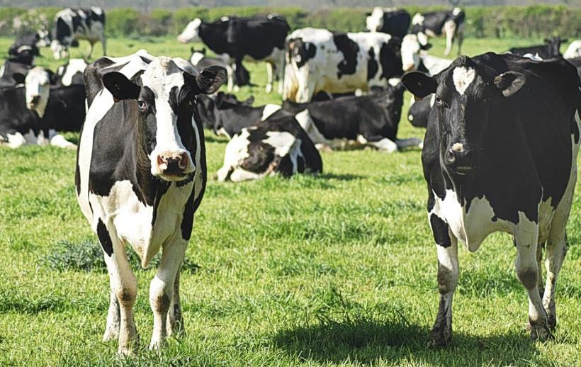 Σοβαρές πολιτικές εξελίξεις και κοινωνικά ζητήματα στην Ελλάδα