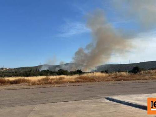 Σοκαριστικές εξελίξεις στην Ελλάδα: Από οικογενειακή βία έως τρομοκρατία
