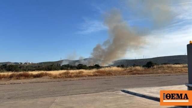 Σοκαριστικές εξελίξεις στην Ελλάδα: Από οικογενειακή βία έως τρομοκρατία