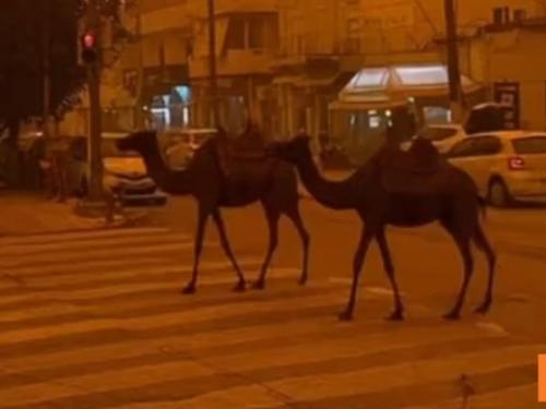 Σοβαρές Πολιτικές Εξελίξεις: Θρήνος και Κλιματική Κρίση στην Ελλάδα