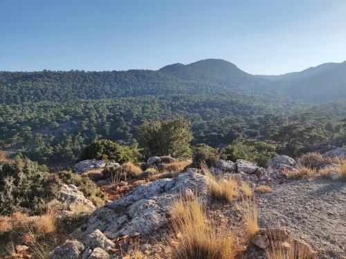 Σοβαρές Πολιτικές Εξελίξεις: Έγκλημα, Δικαιοσύνη και Περιβάλλον