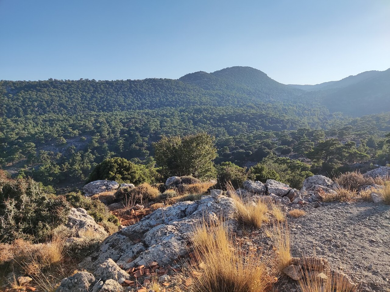 Σοβαρές Πολιτικές Εξελίξεις: Έγκλημα, Δικαιοσύνη και Περιβάλλον