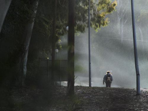 Φεστιβάλ Κινηματογράφου Θεσσαλονίκης και πολιτιστικά δρώμενα: Μια αναδρομή