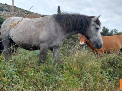 Σοβαρές πολιτικές εξελίξεις: Βία σε σχολεία και εγκληματικότητα στην Ελλάδα