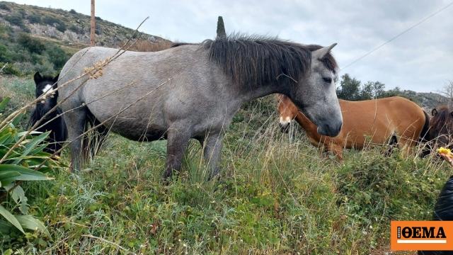 Σοβαρές πολιτικές εξελίξεις: Βία σε σχολεία και εγκληματικότητα στην Ελλάδα