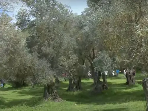 Σημαντικές Πολιτικές Εξελίξεις: Δίκη Τεμπών, Αναγκαστική Προσγείωση και Επίθεση στο Παγκράτι
