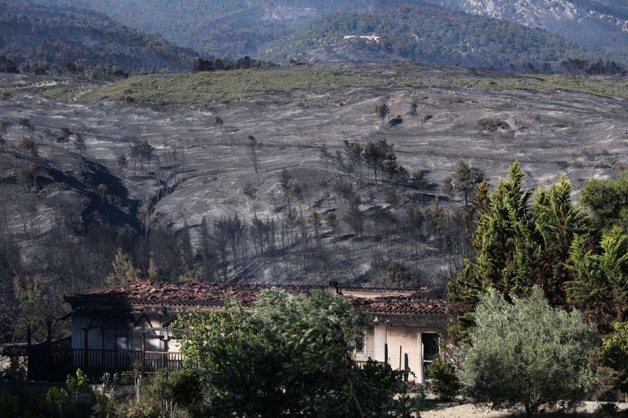 Δυτική Αττική: Η φωτιά και οι πολιτικές ευθύνες της κυβέρνησης