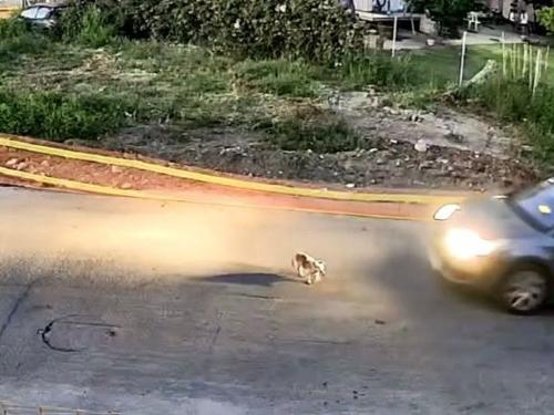Καταιγιστικές εξελίξεις στην Κρήτη και συγκίνηση για τον Ανδρέα Μαζαράκη