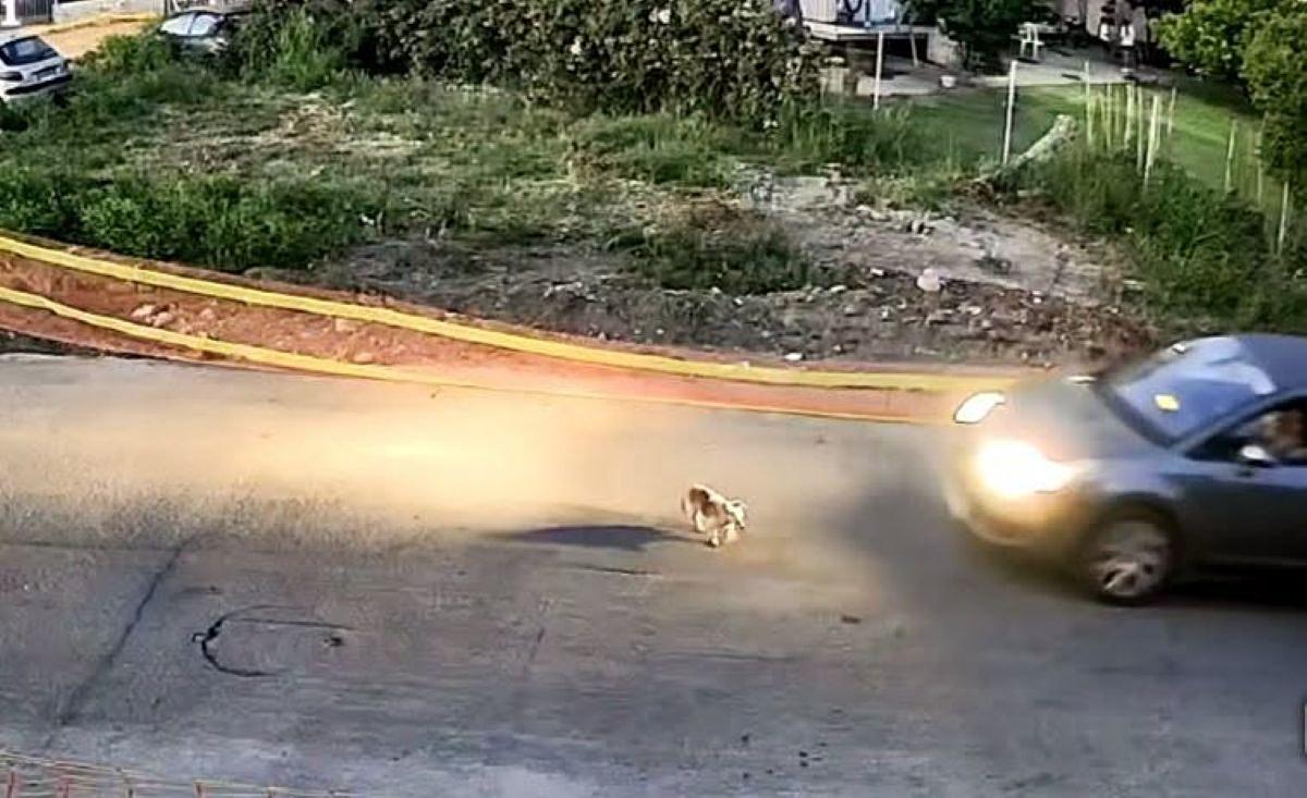 Καταιγιστικές εξελίξεις στην Κρήτη και συγκίνηση για τον Ανδρέα Μαζαράκη