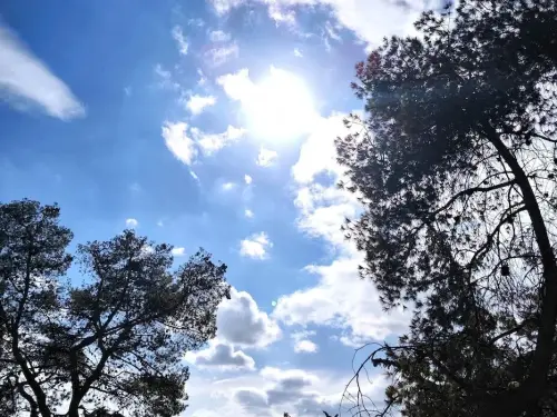 Σημαντικές Πολιτικές Εξελίξεις στην Ελλάδα: Από την Κοινωνία έως τον Καιρό