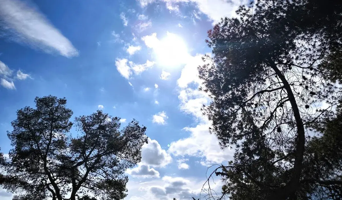 Σημαντικές Πολιτικές Εξελίξεις στην Ελλάδα: Από την Κοινωνία έως τον Καιρό