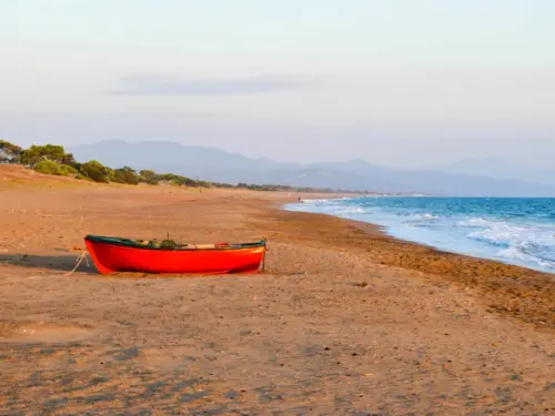 Η Τεχνητή Νοημοσύνη και η Διατροφή: Ασφάλεια και Προκλήσεις