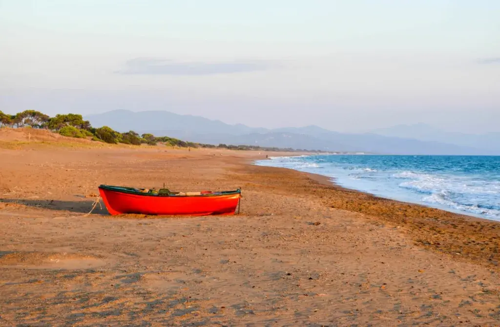 Η Τεχνητή Νοημοσύνη και η Διατροφή: Ασφάλεια και Προκλήσεις