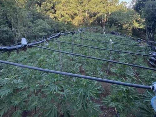 Σοβαρές πολιτικές εξελίξεις και κοινωνικά ζητήματα στην Ελλάδα