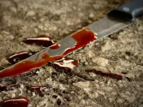 Σημαντικές Πολιτικές Εξελίξεις: Κυκλοφοριακές Ρυθμίσεις και Κοινωνικά Ζητήματα