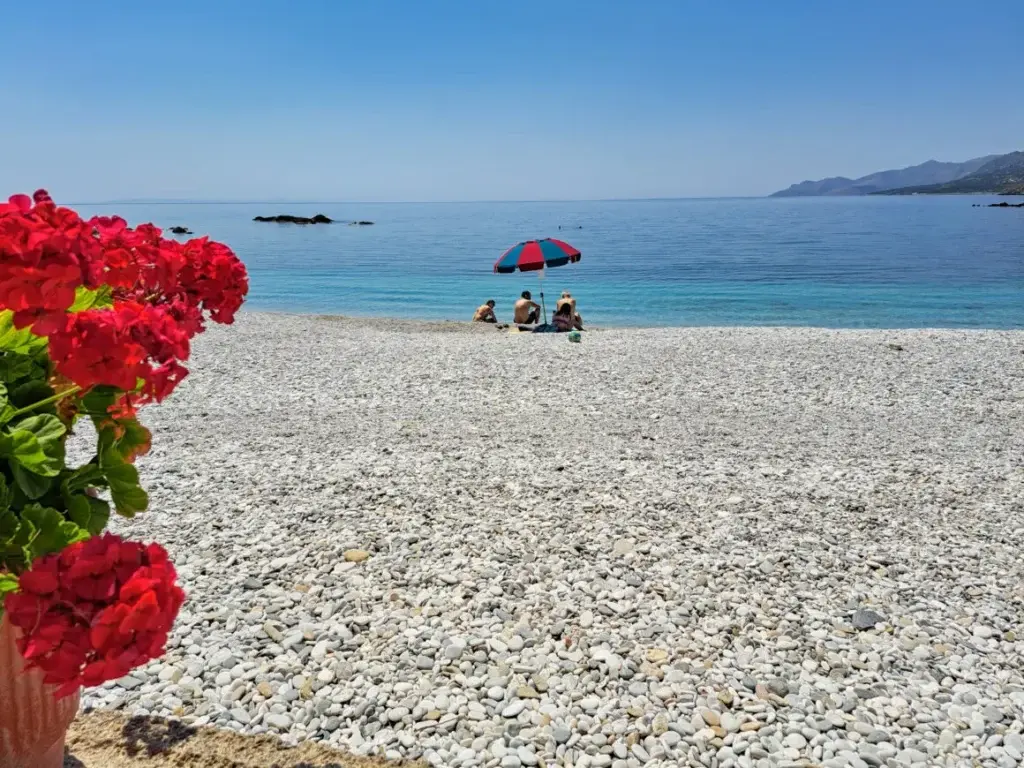 Βικτώρια Δέλλα: Αποφοίτηση με συναισθηματική φόρτιση και δημόσιες ευχαριστίες