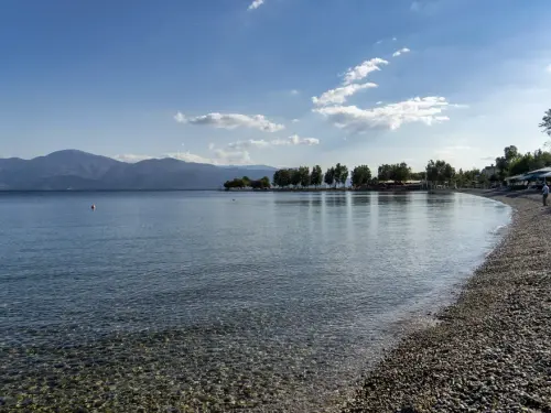 Η Τεχνητή Νοημοσύνη και η Διατροφή: Ασφάλεια ή Ρίσκο;