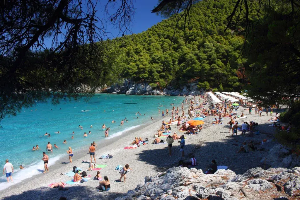 Σοκαριστικές Πολιτικές Εξελίξεις στην Ελλάδα: Καταγγελίες και Φωτιές
