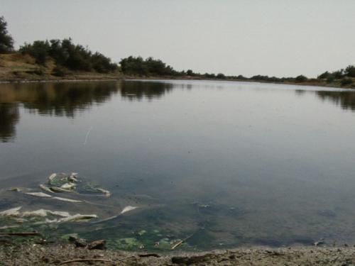 Συναγερμός στην Καλλιθέα και αγωνία στη Θεσσαλονίκη: Έντονη εγκληματικότητα