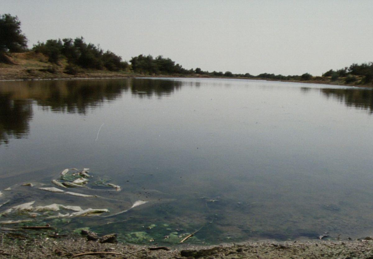 Συναγερμός στην Καλλιθέα και αγωνία στη Θεσσαλονίκη: Έντονη εγκληματικότητα