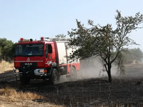 Συναγερμός στη Δυτική Ελλάδα για τις πυρκαγιές: Υψηλός κίνδυνος σε πολλές περιοχές