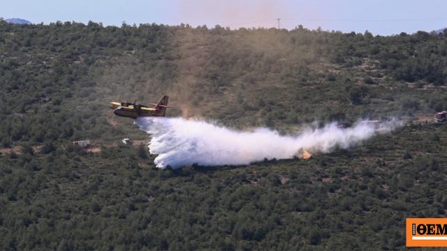 Σοβαρές εξελίξεις στην ελληνική κοινωνία: Από κλοπές έως πυρκαγιές