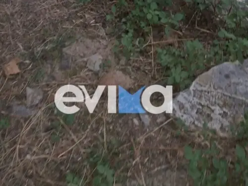 Συναγερμός στην Εύβοια και κοκαΐνη με το πρόσωπο του Χάαλαντ στο Εκουαδόρ