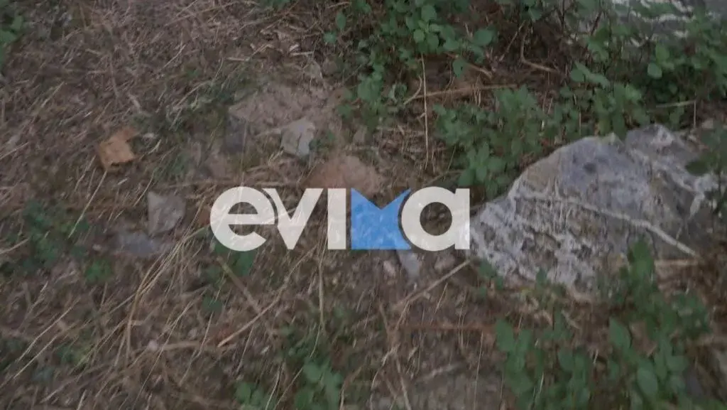 Συναγερμός στην Εύβοια και κοκαΐνη με το πρόσωπο του Χάαλαντ στο Εκουαδόρ