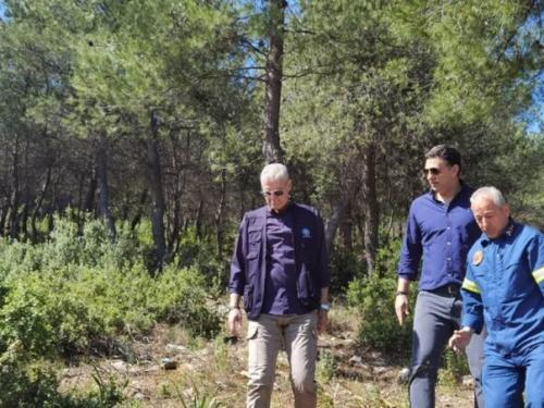 Ο Β. Κικίλιας επισκέφθηκε την Πεντέλη για αυτοψία των έργων καθαρισμού, επιβεβαιώνοντας τη συνέχιση των προσπαθειών σε περιοχές με υψηλό κίνδυνο πυρκαγιάς.